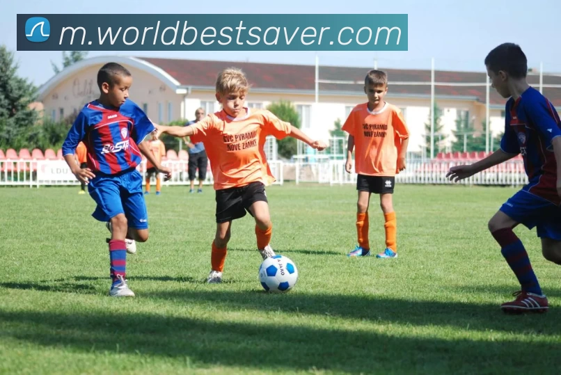 FB体育官网全站App